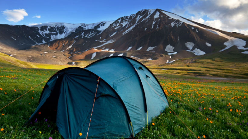 5 iPhone Apps for the Perfect Camping Vacation