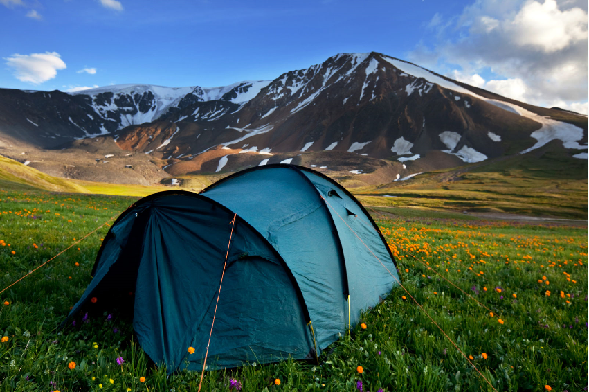 Learn the best tips for camping for the first time